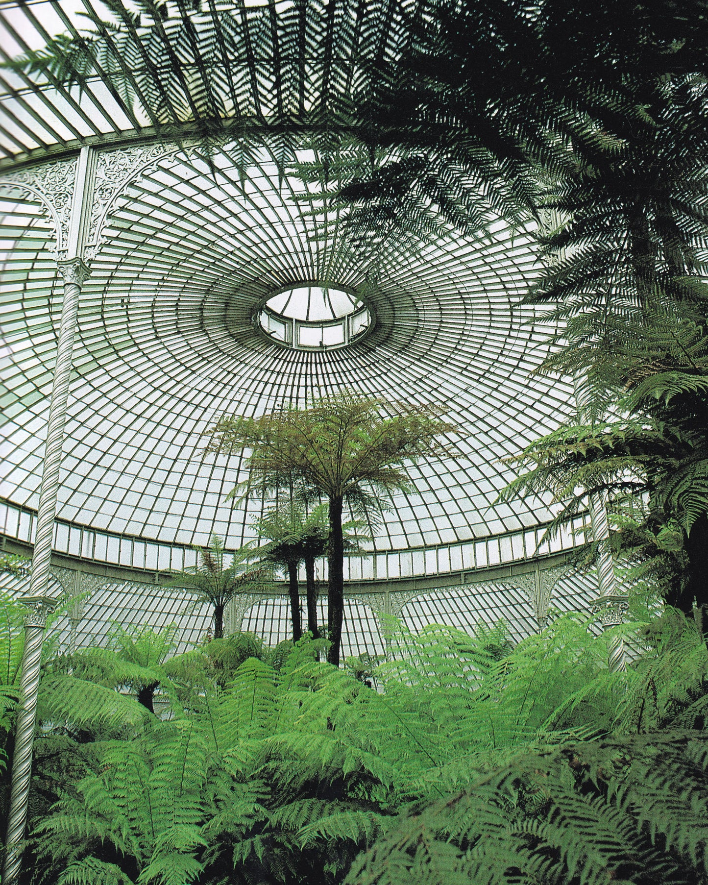 1986 Living Under Glass, Hardcover